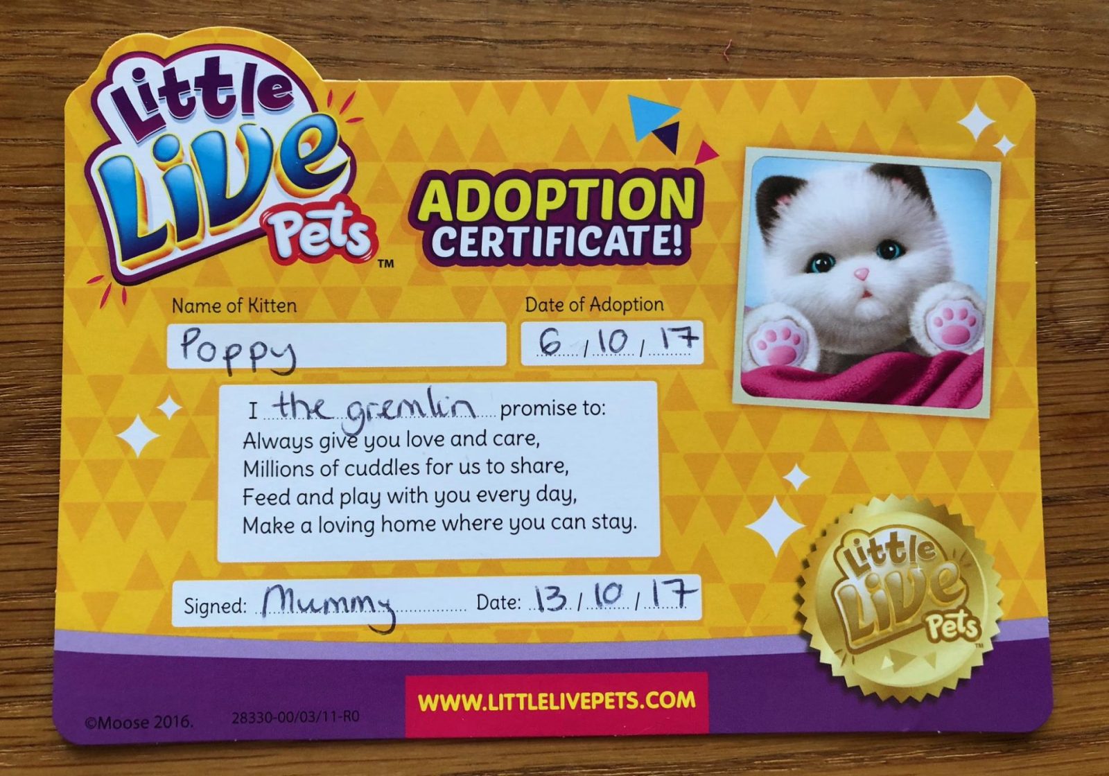 Adoption certificate for Little Lives Kitten Cuddles