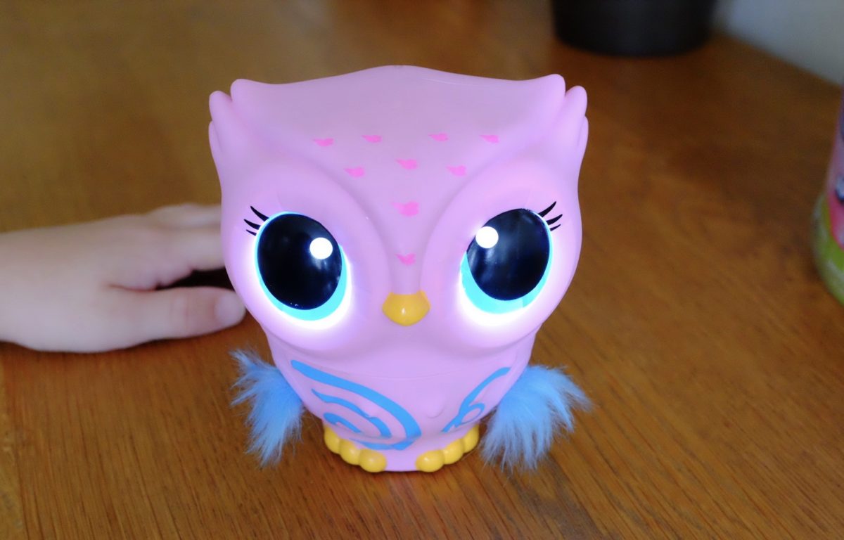 Owleez Flying Owl Toy Teach Your Owl to Fly! REVIEW