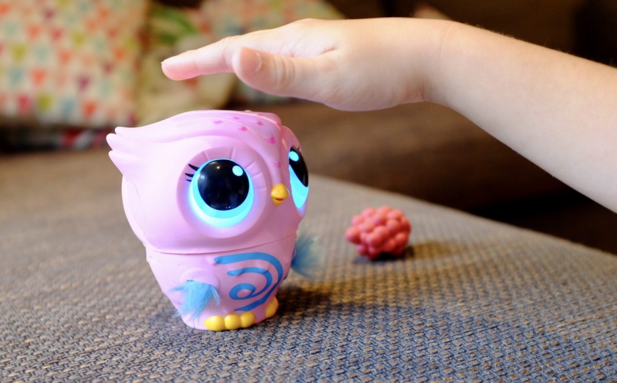 Owleez Flying Owl Toy Teach Your Owl to Fly! REVIEW