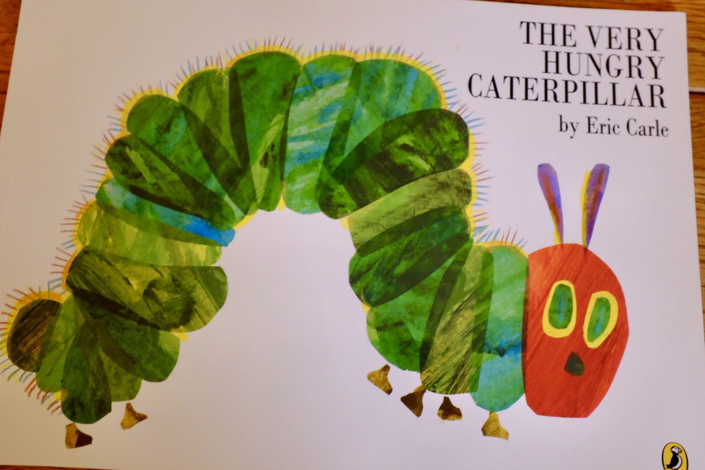 the very hungry caterpillar book
