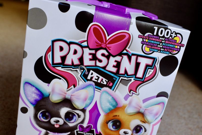 Present Pets REVIEW Interactive Push Pup That Unboxes Itself