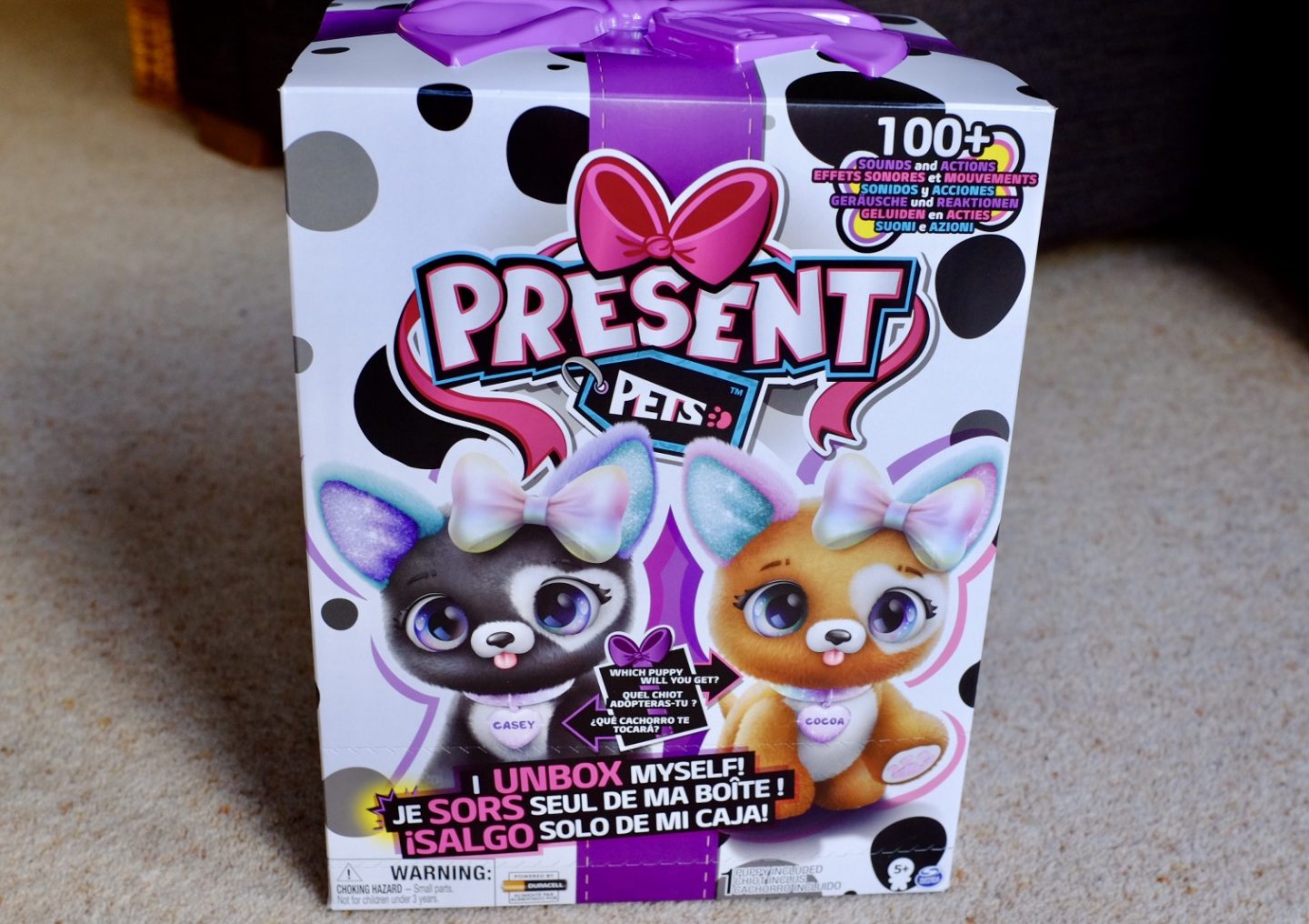present pets in box