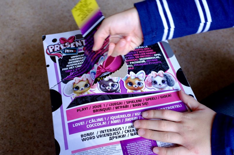 Present Pets REVIEW Interactive Push Pup That Unboxes Itself