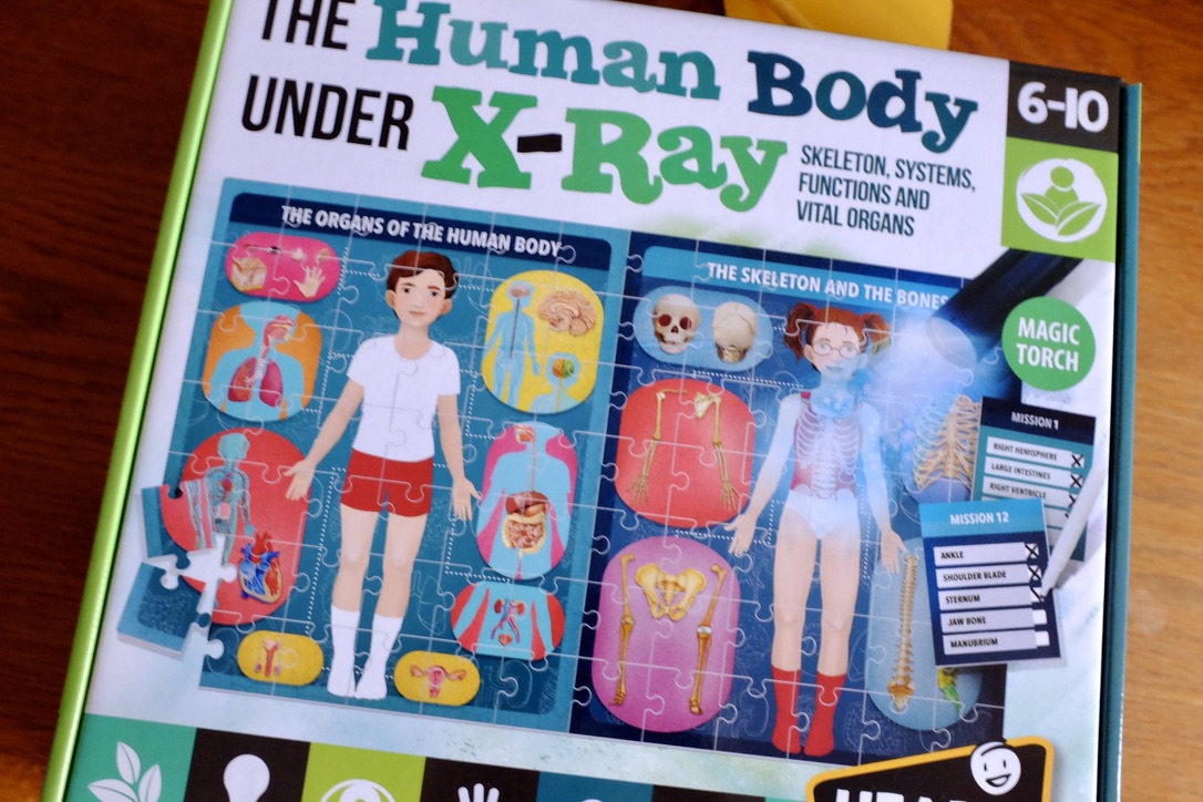 The Human Body – Under X-Ray | GIVEAWAY