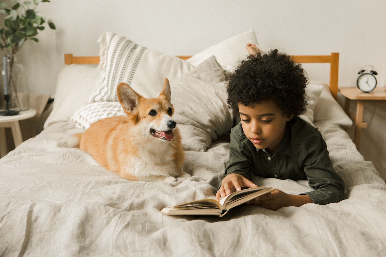 3 Benefits of Providing Emotional Support Animal Pet to Your Child-Coping-Anxiety