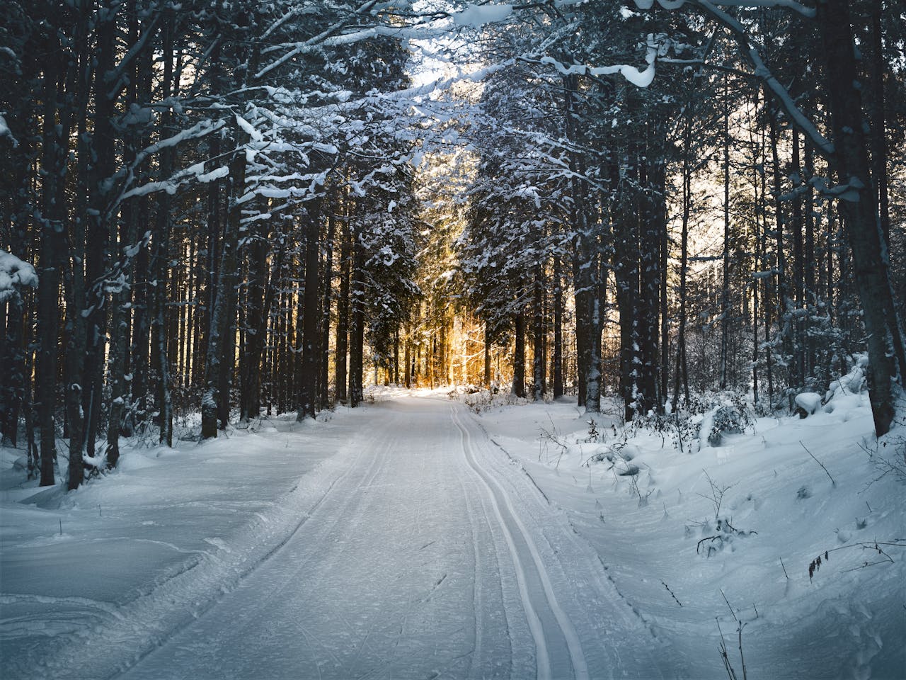 5 ways to decorate your family home for winter