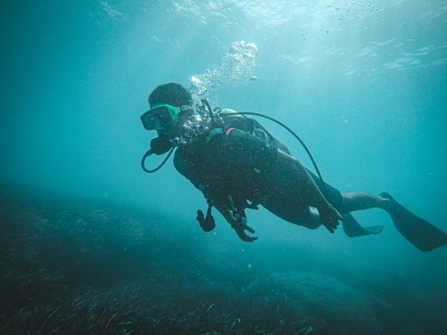 How to Choose the Right Scuba Operator in Islamorada
