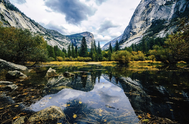 Best Ways to See Yosemite National Park in One Day