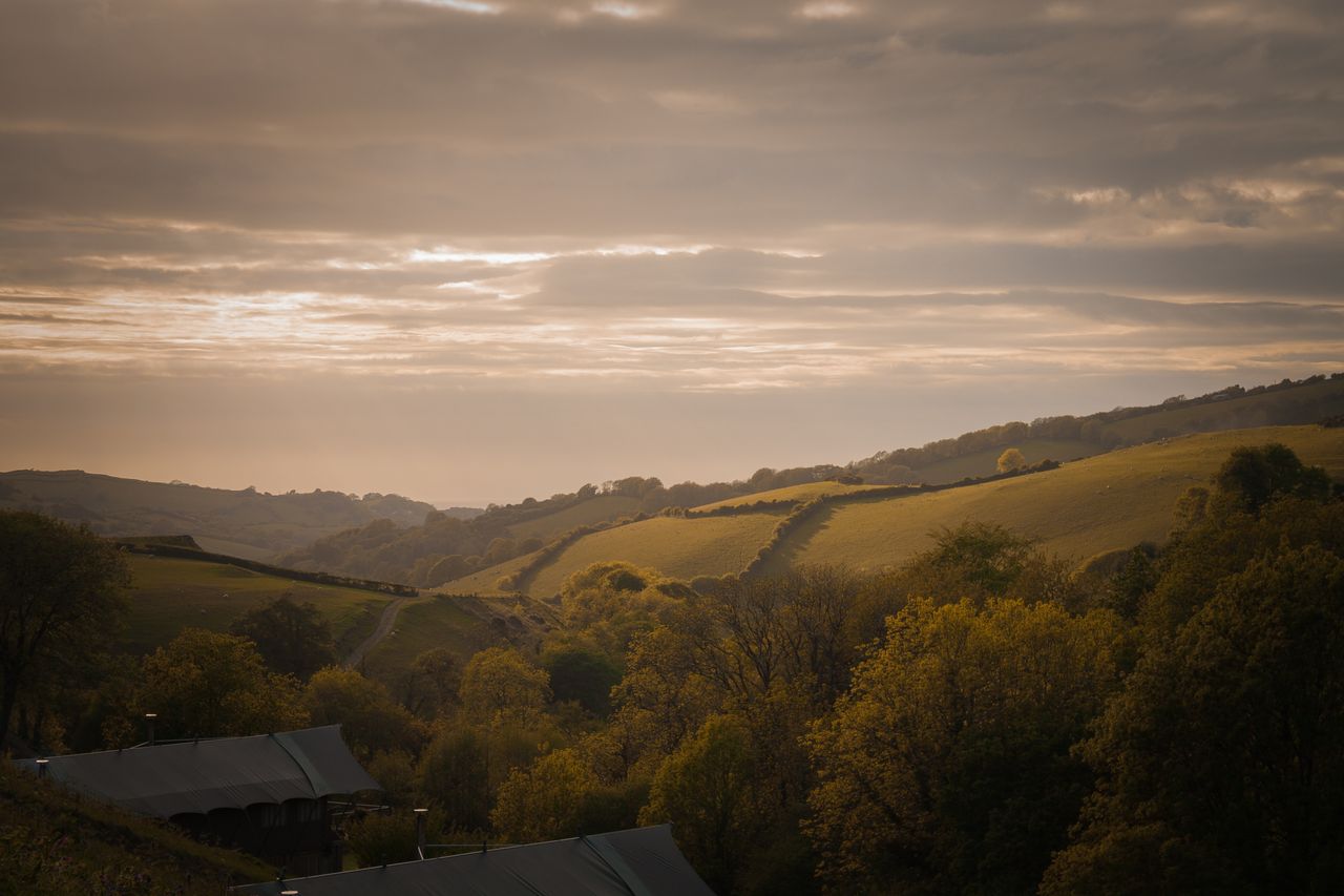 How to decide between city and country living