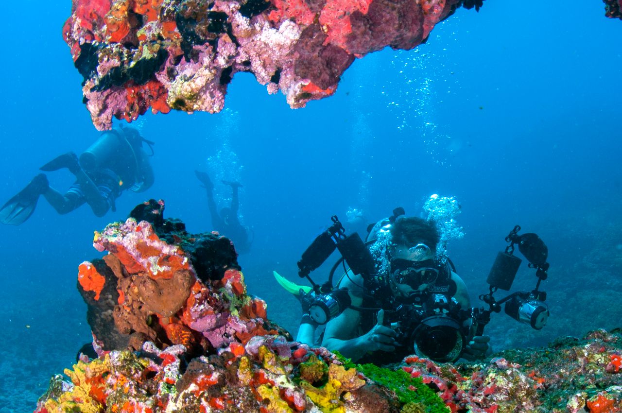 How Divers Can Explore and Protect the Florida Keys Reef System
